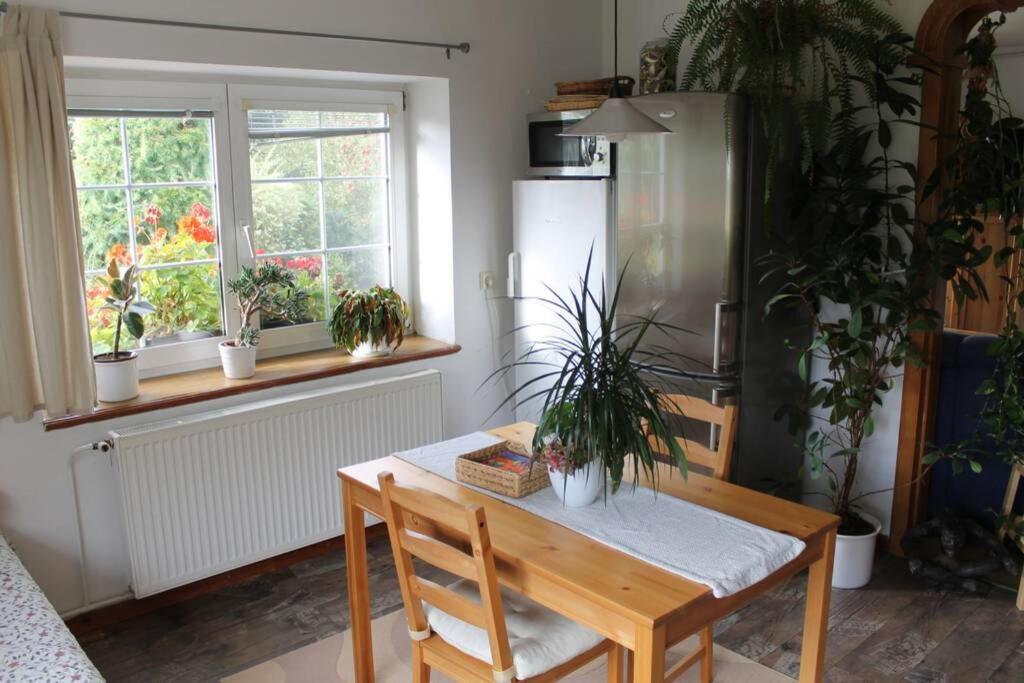 Krasny Apartman V Brane Luzickych Hor Cvikov Exteriör bild