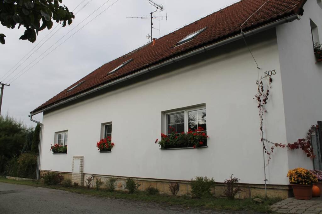Krasny Apartman V Brane Luzickych Hor Cvikov Exteriör bild