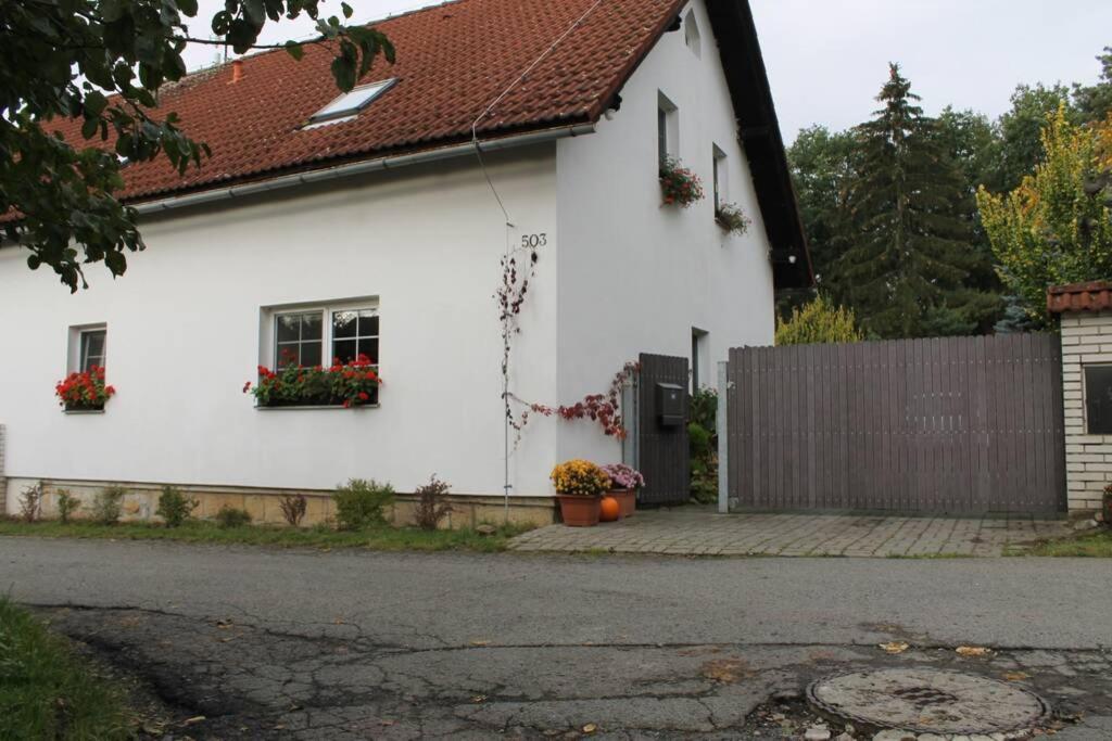 Krasny Apartman V Brane Luzickych Hor Cvikov Exteriör bild