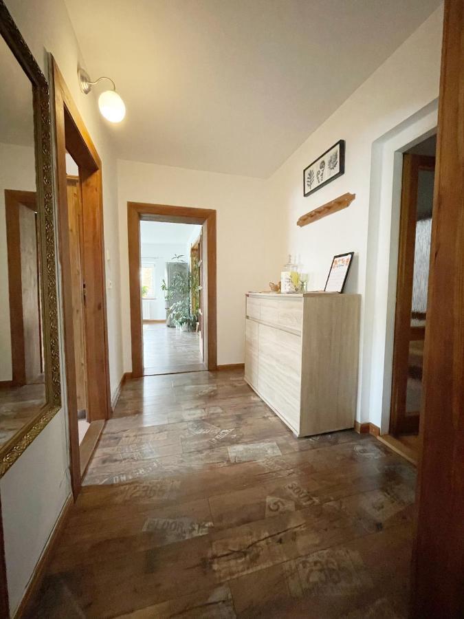 Krasny Apartman V Brane Luzickych Hor Cvikov Exteriör bild